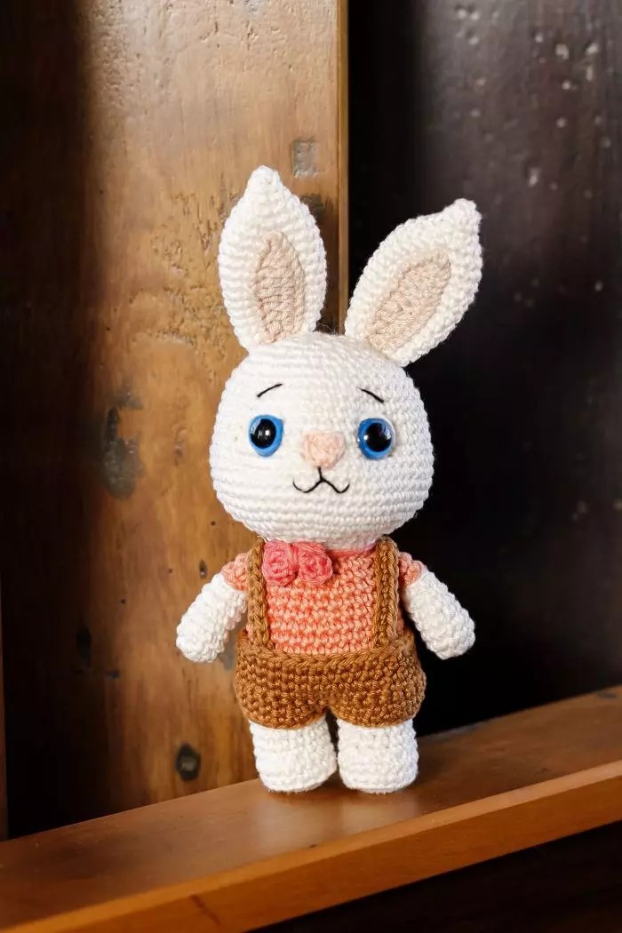 Inacio the Long-Eared Bunny Amigurumi Crochet Pattern [Instant PDF] - Amigurumi Patterns PDF Pattern with Written Instructions and Chart